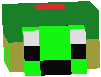 Mine Turtle