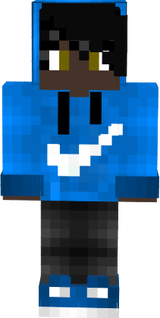 SKIN TESTR