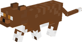 Brown And White Striped Cat