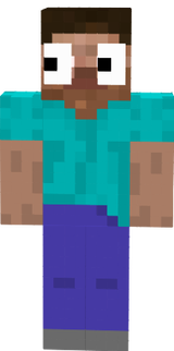 Herobrine Shocked