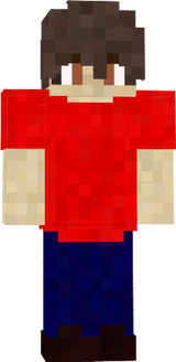 skin autorski