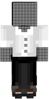trabajadormaid