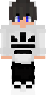 skin