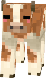 chocolate milk cow