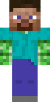 Mainecrafter6660