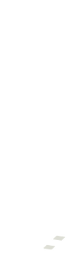 INVIZAMAN