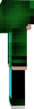 dipp336