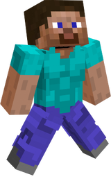 steve ！
