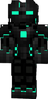 Skin