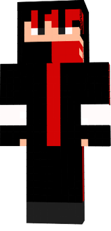 ninja zdnfgisd