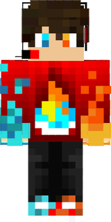 portal skin 2