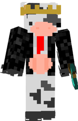 ARs