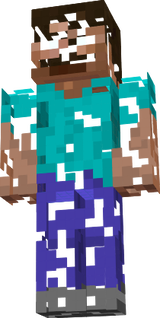 vanishing herobrine