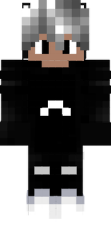 Minecraft:Pro