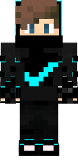 skin ninja 