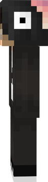 type1 Copy