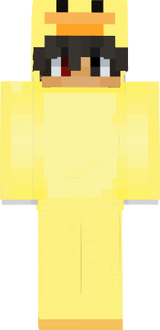 My Duck Suit