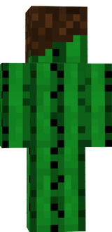 bruh