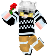 skin13(2)