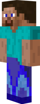 steve