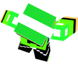 minecraft 5555