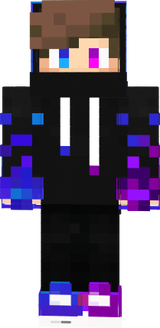 1skin