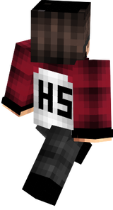 HS_wsd