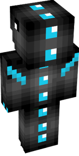 Skin1