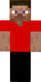 steve 2