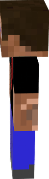 Padlizsán skin