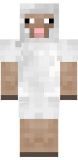 sheep