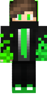 Sonic501gamer