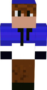 Hoodie Skin