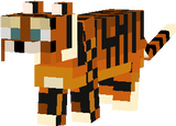 tiger123456