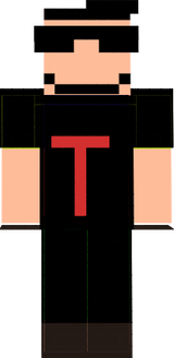 THEGAME SKIN 