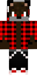 asfasfa