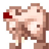 Raw Rabbit