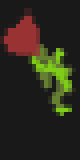 Rose Cape