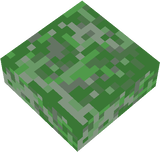 SCP-20-4