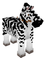 zebra