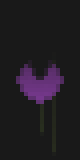 purple hearth