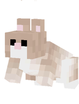 hamster