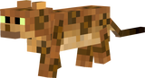 Spotted Bengal Cat