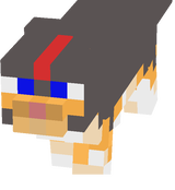 gato guerrero