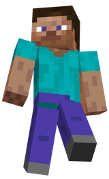 steve