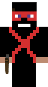 new ninja 