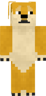 Doge skin