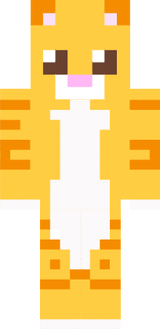 Gatoooo