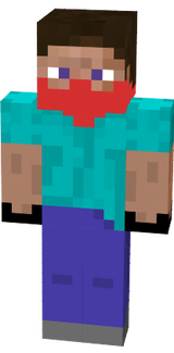 Search_4_steve