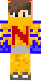 nic skin